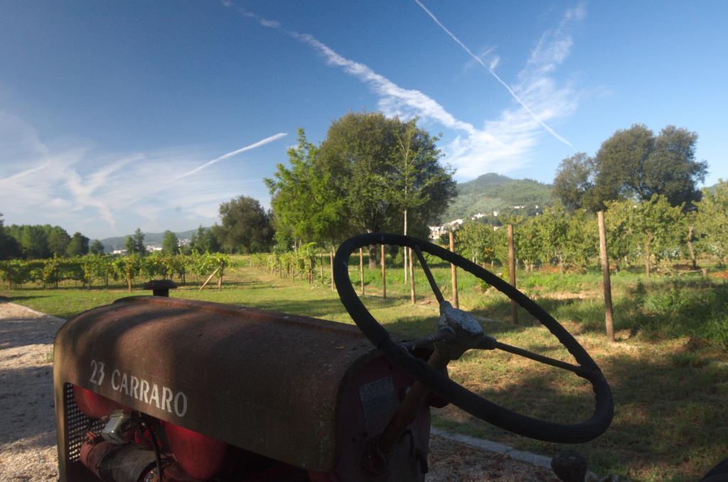1720 Quinta Da Cancela - Winery & Farmhouse Гимарайнш Экстерьер фото